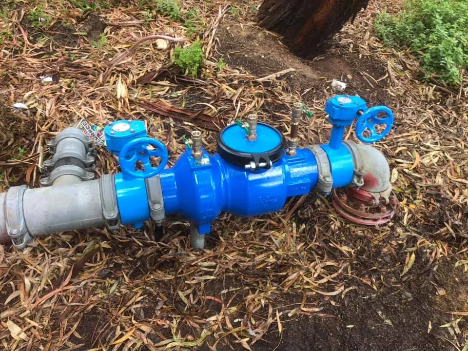 Backflow Testing
